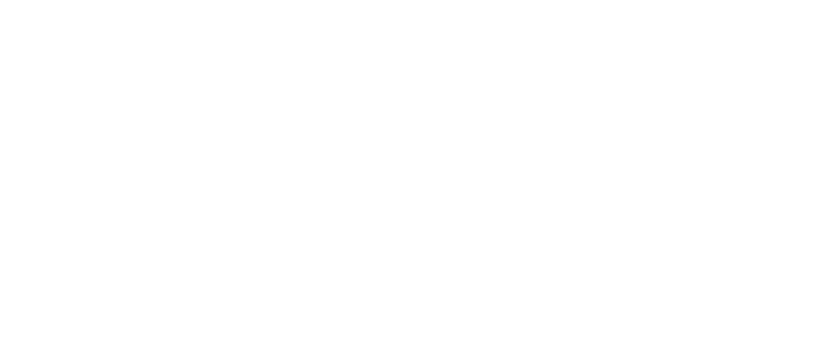 Agile Solutions Provider